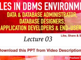 Roles in DBMS Environment