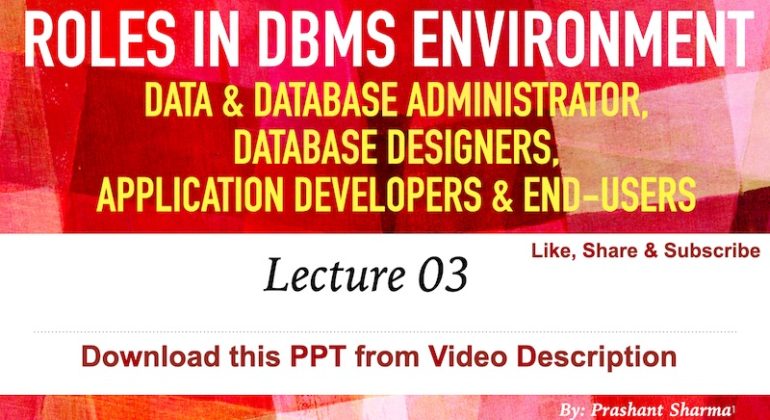 Roles in DBMS Environment